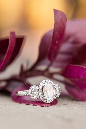 HarrisRainwater_Engagement-121