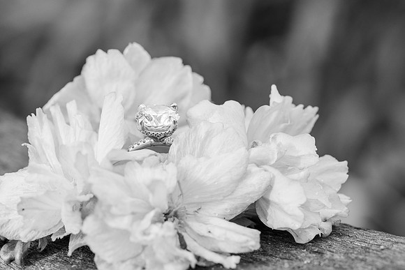 MoulasSchneider_Engagement-92