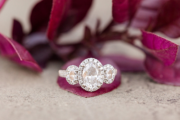 HarrisRainwater_Engagement-118