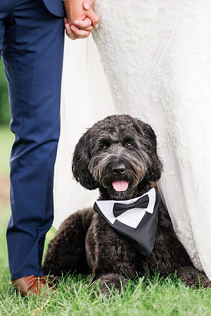Boedker+Laskey_WeddingFaves-284